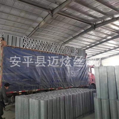 304不锈钢电焊网 鸟笼鸽舍防护网片 镀锌电焊网 电焊网货架图3