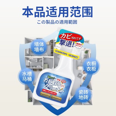 除霉剂墙体墙面发霉去除防霉剂去除剂家用祛霉去霉斑霉菌清洁剂图2