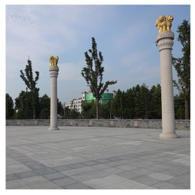 【中式盘龙柱】大理石华表石雕龙柱批发 公园广场文化柱定制图5