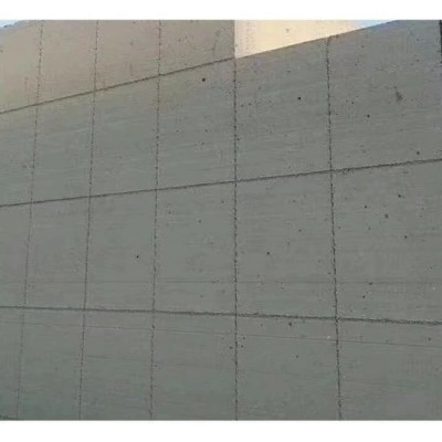 加气块试压块泡沫砖 底层建筑地下室 重量轻加工性能好 本地发货图3