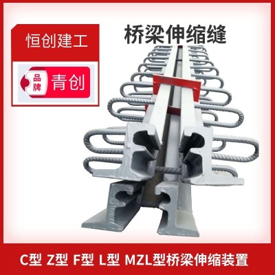 公路桥梁建筑梳齿板CZLFE模数式D4080160型毛勒伸缩缝装置图2