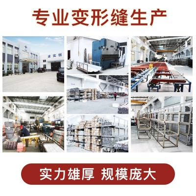 楼地面变形缝 SFFS建筑地面伸缩缝抗震型地面铝合金盖板沉降缝图4