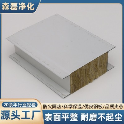 食品厂机制岩棉彩钢板电子厂隔墙板无尘车间防火隔热彩钢复合板图3