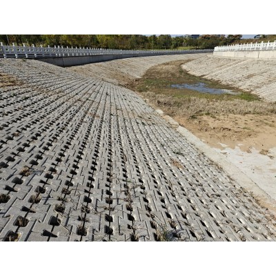 河南厂家供应 生态挡墙砖 挡土砖 自嵌式挡墙 量大免费拿样图3