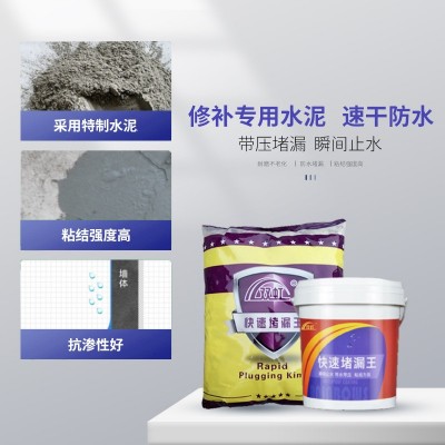 双虹防水快速堵漏王带水作业混凝土填补止漏补漏材料屋顶平图3
