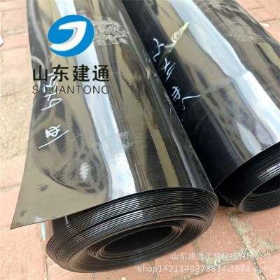 厂家批发供应护坡防渗布 长丝复合土工膜两布一膜 工程防 渗土工膜图2