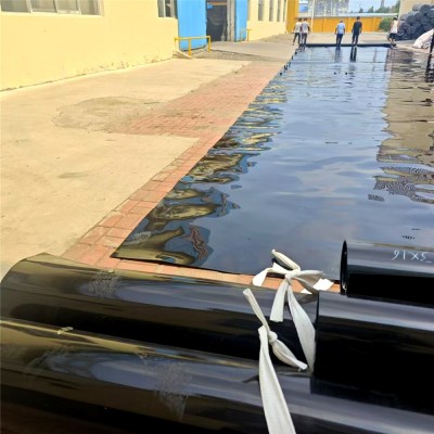 厂家批发供应护坡防渗布 长丝复合土工膜两布一膜 工程防 渗土工膜图4