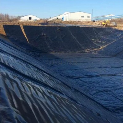 蓄水池土工膜抗老化抗穿刺防渗膜养殖池氧化塘用PE膜单糙面土工膜图4