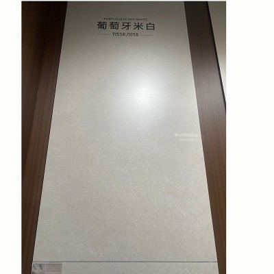 广东佛山瓷砖天鹅绒柔光砖750x1500客厅地砖600x1200卫生间墙砖图4