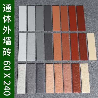 陶土砖 小红砖6x24别墅自建房外墙砖闽南红砖福建外墙厂家图5