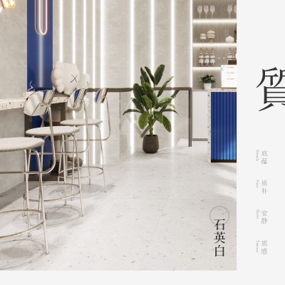 微抛水磨石瓷砖防滑耐脏600X1200卫生间厨房商场咖啡厅地砖仿古砖图2
