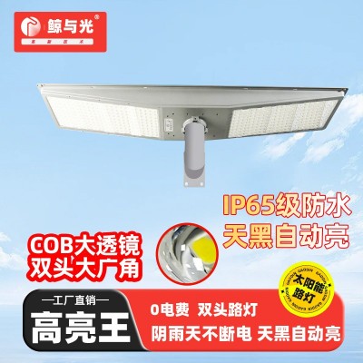 中山太阳能路灯大功率款双向道路路灯杆照明智能感应可调节铝材