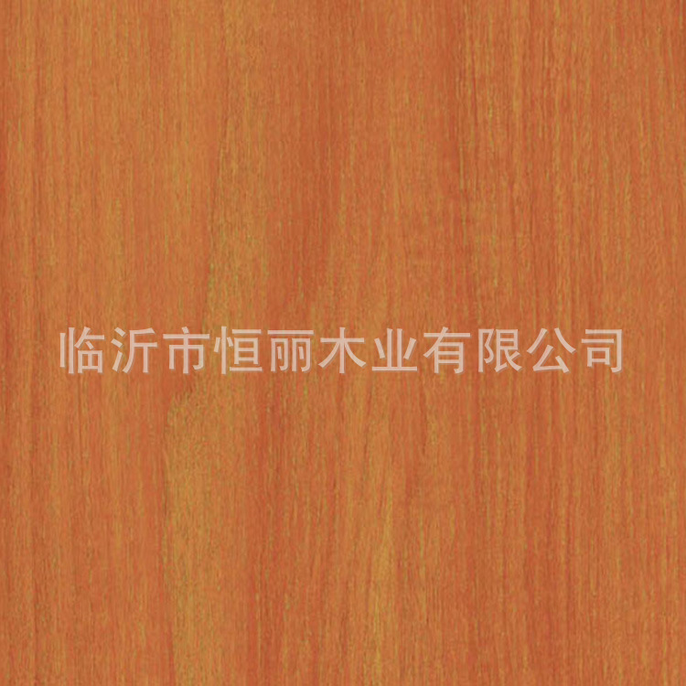 79a9155e385f835a897a162e2277f8