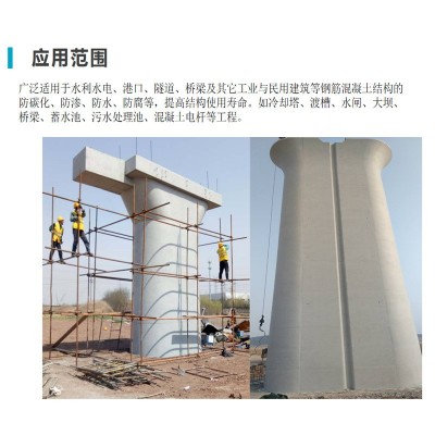 混凝土色差修复剂 混凝土表面裂缝蜂窝气泡修补色差调整剂粘接强图3