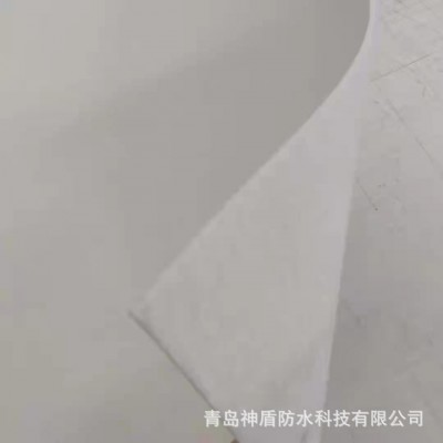 轨道交通项目用TPO高分子预铺防水卷材
