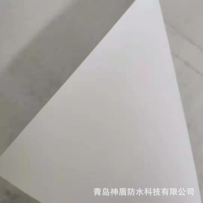 轨道交通项目用TPO高分子预铺防水卷材图2