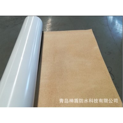 轨道交通项目用TPO高分子预铺防水卷材图5