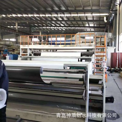 超强耐候性非沥青基自粘胶膜防水卷材可实现阶段性施工