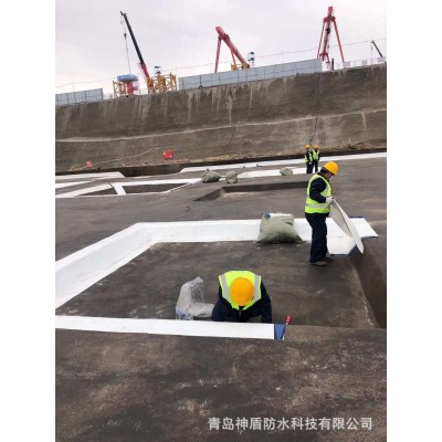 超强耐候性非沥青基自粘胶膜防水卷材可实现阶段性施工图4