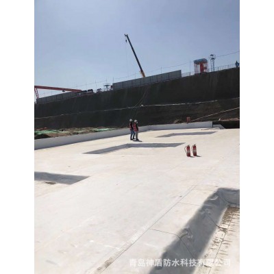 超强耐候性非沥青基自粘胶膜防水卷材可实现阶段性施工图3
