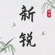 企业logo
