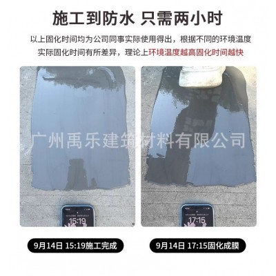 室外高性能聚脲防水防腐涂料屋顶裂缝补漏注浆液堵漏材料楼顶房顶图3