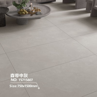 肌肤釉素色柔光砖750x1500微水泥通体大理石客餐厅厨房卧室地砖图3