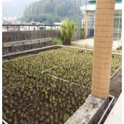长安区大楼屋顶花园隔热陕西安屋面花园绿化图2