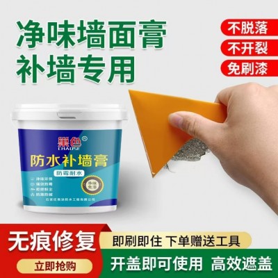 防水防潮补墙膏墙面修补膏白色环保无味家用内墙涂料裂缝修复神器图2