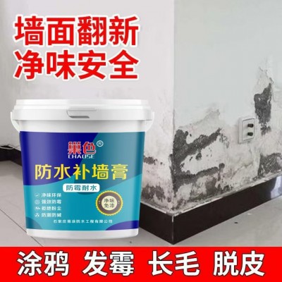 防水防潮补墙膏墙面修补膏白色环保无味家用内墙涂料裂缝修复神器图3