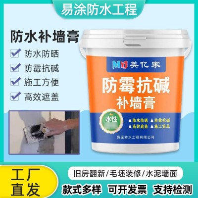 防霉抗碱补墙膏家用墙面白色修补膏防水腻子膏内墙刮白涂料批发图2