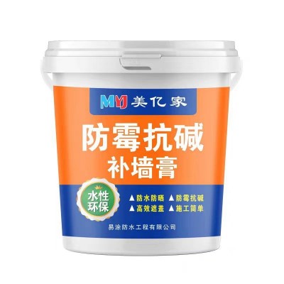 防霉抗碱补墙膏家用墙面白色修补膏防水腻子膏内墙刮白涂料批发图5