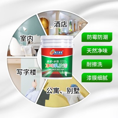 外墙无机涂料别墅室外墙面漆白彩色户外防水防晒外墙乳胶漆图2