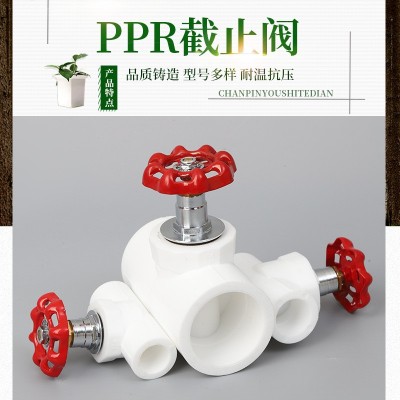 截止阀25升降式63ppr水管闸阀门开关卡簧加厚铜芯热熔水管配件pif图2
