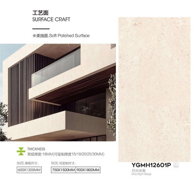 广东佛山奢石仿大理石瓷砖园林景观市政商圈别墅庭院柔抛面仿古砖图5