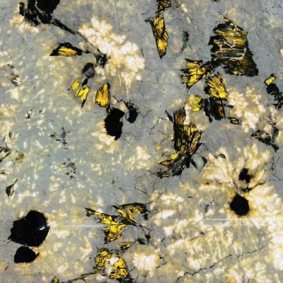 孔雀开屏天然大理石板材地面别墅背景墙外墙石材楼梯岛台橱柜面台图4