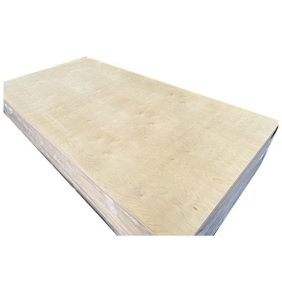 现货俄桦海洋板全桦木胶合板酚醛E0级家具板家居护墙板UV桦木面