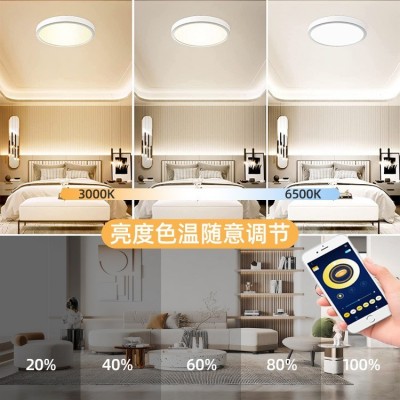 跨境吸顶灯大厅圆形APP控制照明灯led卧室定时护眼防蚊虫睡眠灯图5