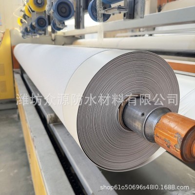 隧道专用吊带型高分子自粘胶膜防水卷材TPO HDPE EVA土工防水板 1件图4