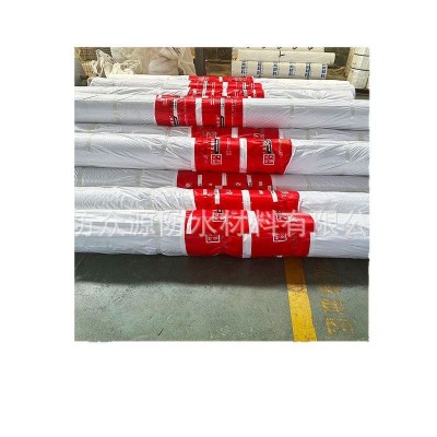 隧道专用吊带型高分子自粘胶膜防水卷材TPO HDPE EVA土工防水板 1件图5