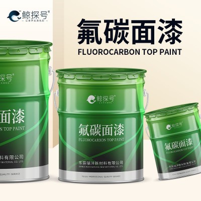 含氟量高的氟碳漆长江大桥防腐用氟碳涂料天蓝色面漆桥梁油漆 22千克图2