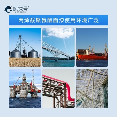 含氟量高的氟碳漆长江大桥防腐用氟碳涂料天蓝色面漆桥梁油漆 22千克图3