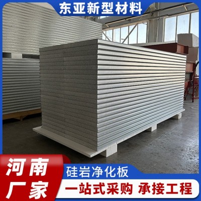 硅岩净化板50mm彩钢夹芯板净化工程保温防火板隔热质轻河南厂家 1平方米图3