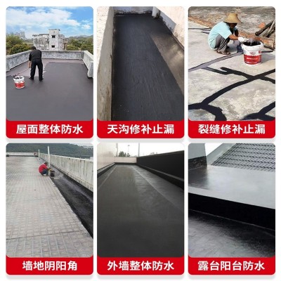 液体卷材房顶屋顶补漏阳台专用天地不漏墙面屋顶大面积防水涂料 1桶图2