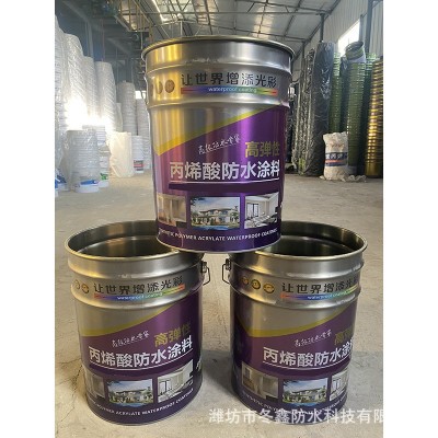 丙烯酸防水涂料 工厂用室外丙烯酸抗裂涂料 外墙水性漆丙烯酸防水 5桶图5