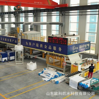 热塑性聚烯烃tpo防水卷材内增强耐根穿刺结构工程高分子防水材料 2平方米图3