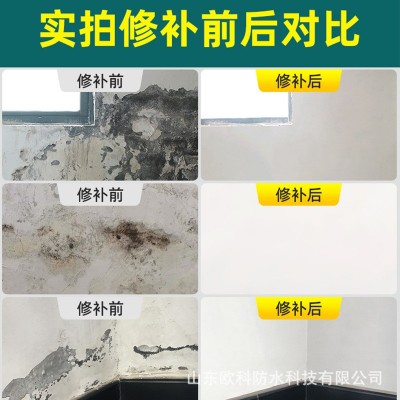 欧科防水补墙膏 裂缝 起皮解决墙面问题 批发 代加工 500桶图5