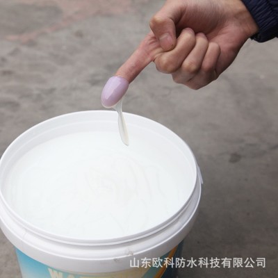 厨浴卫内外墙防水材料透明防水胶防水涂料无色透明免砸砖一件代发 2桶图2