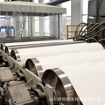 聚氯乙烯pvc防水卷材种植屋面耐根穿刺防水防潮材料加筋型卷材料 2平方米图2