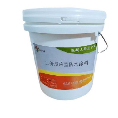 现货灰色桥面防水涂料20公斤道路桥梁防水涂料水乳型二价防水涂料 1桶图2